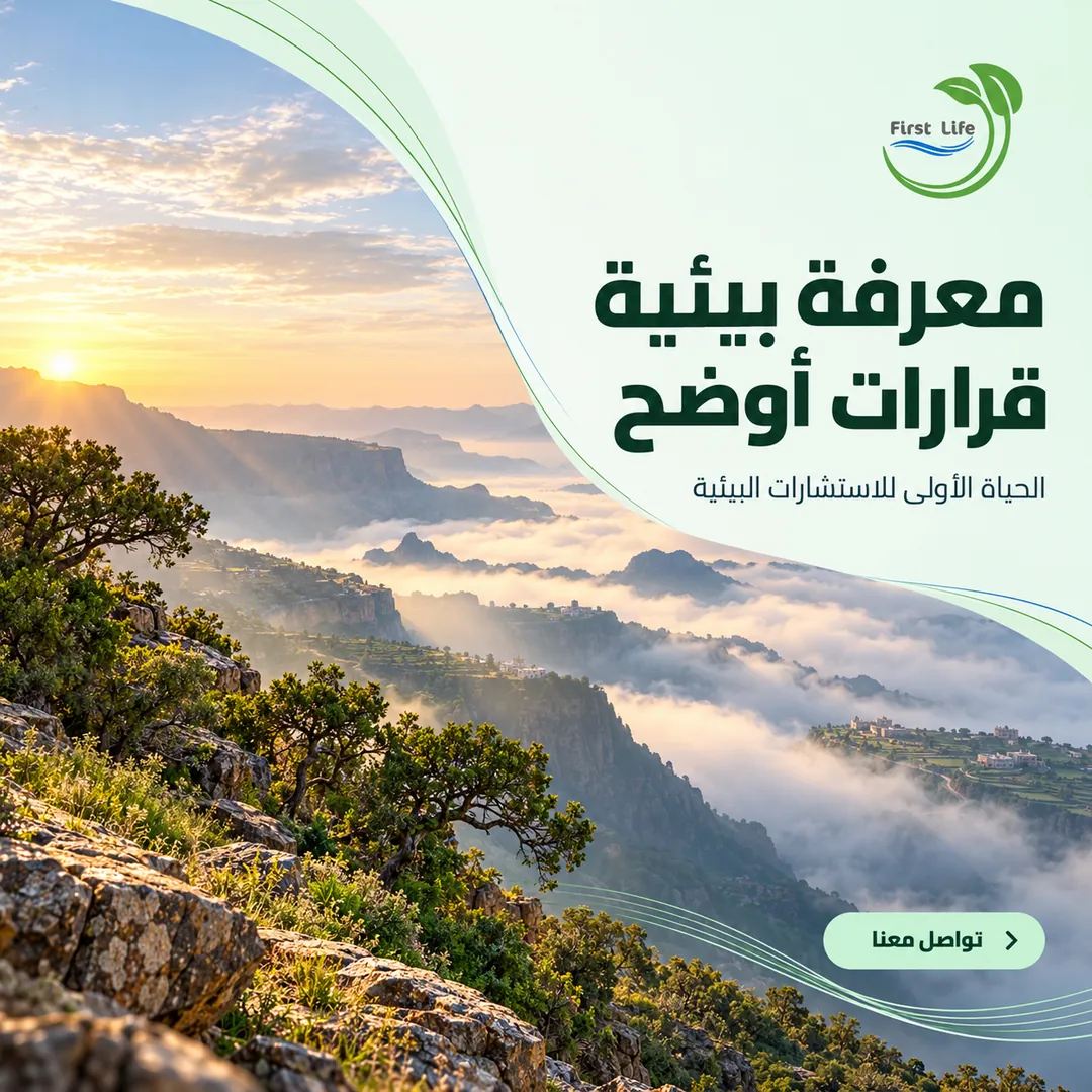 منشور مربع للحياة الأولى